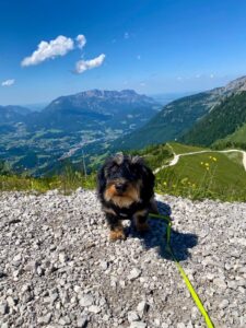 Kalea von der Lichtenberger Höhe, 1 Jahr alt